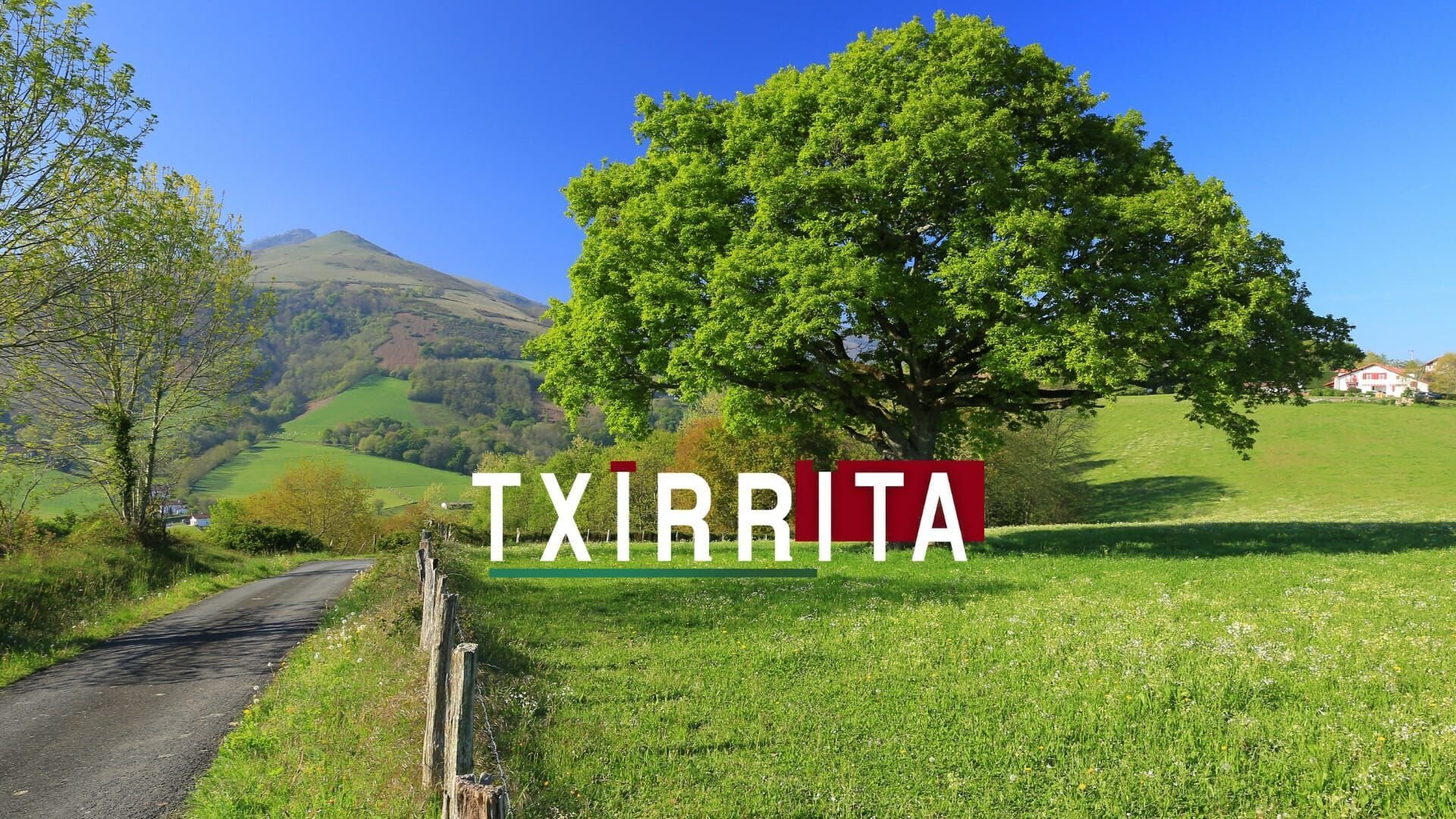 Txirrita