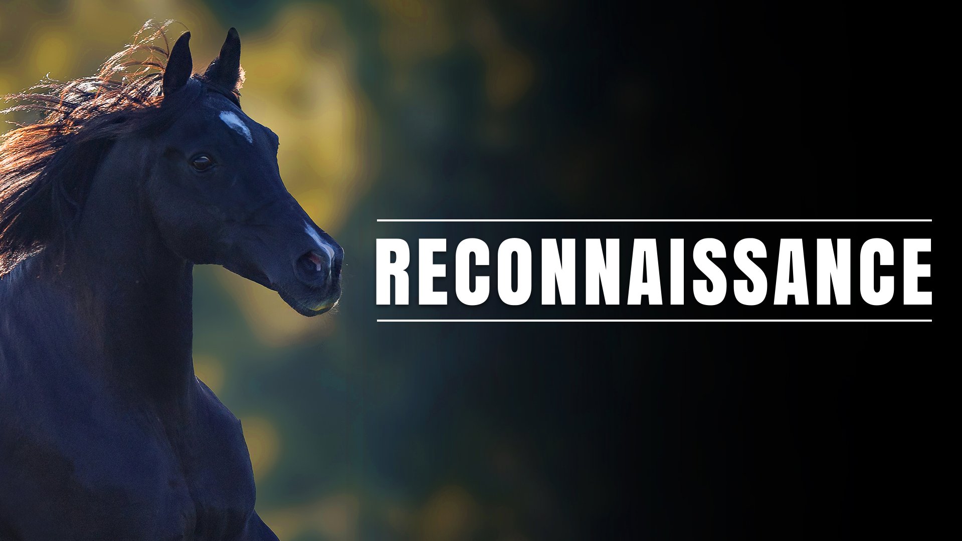 Reconnaissance — Cheval TV 23:29