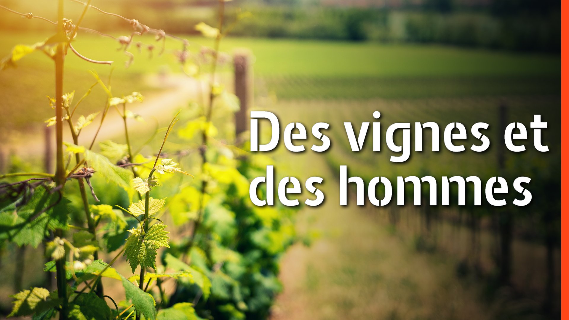 Des vignes et des hommes - S02E05