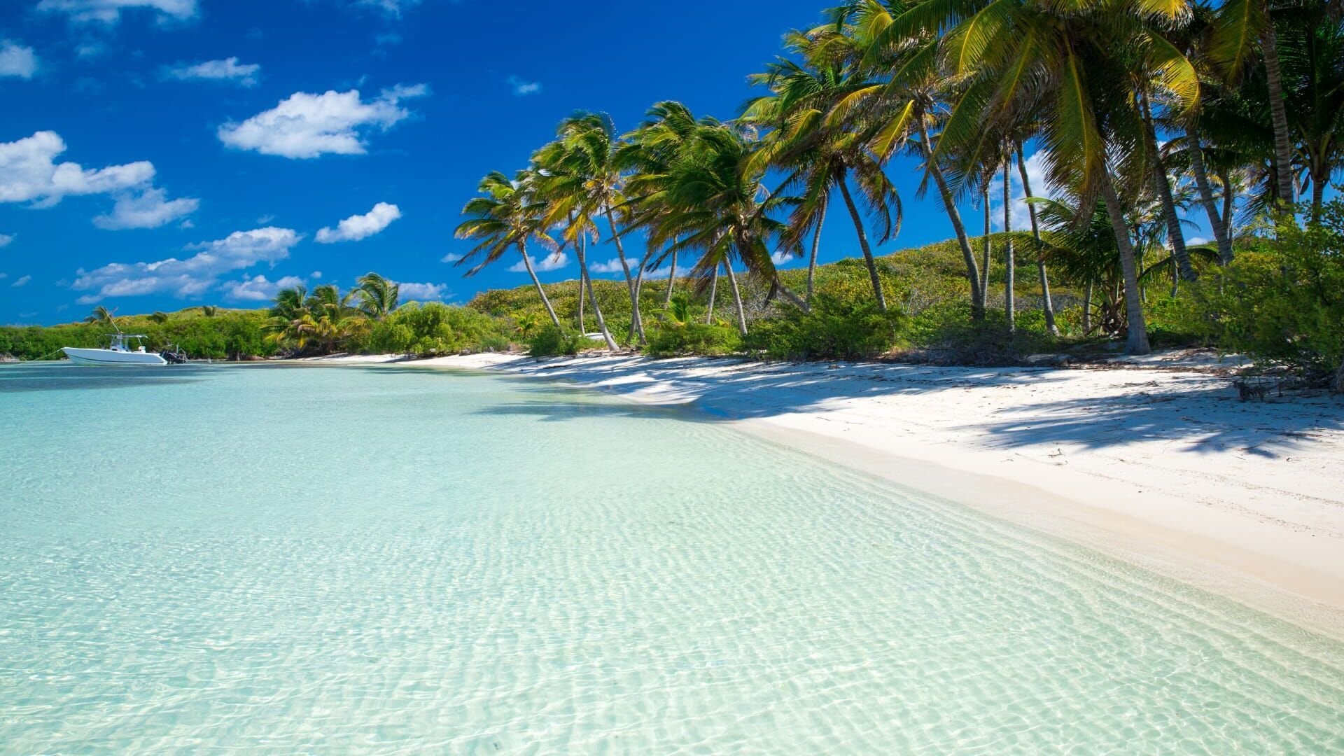 Caribbean Vibes — Trace Tropical 20:00