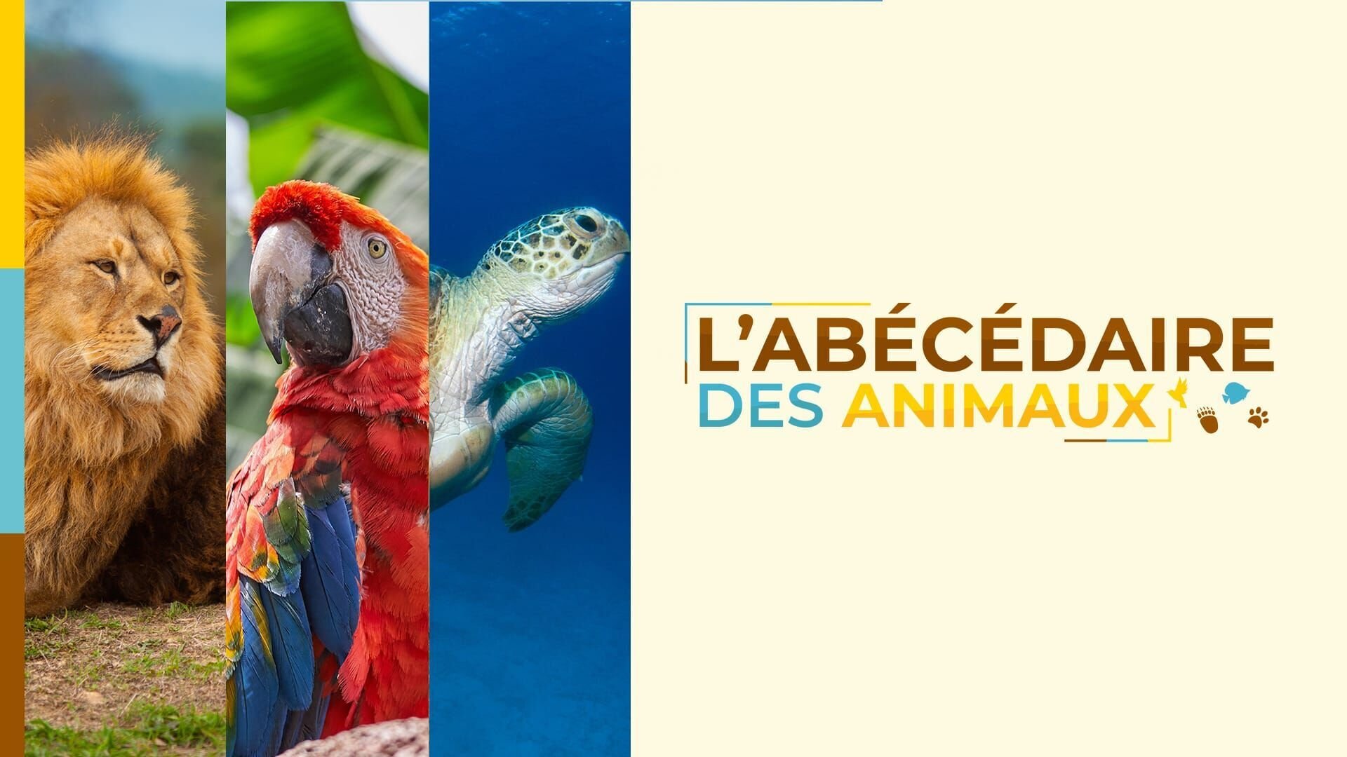L'abécédaire des animaux — TV Pitchoun 23:03