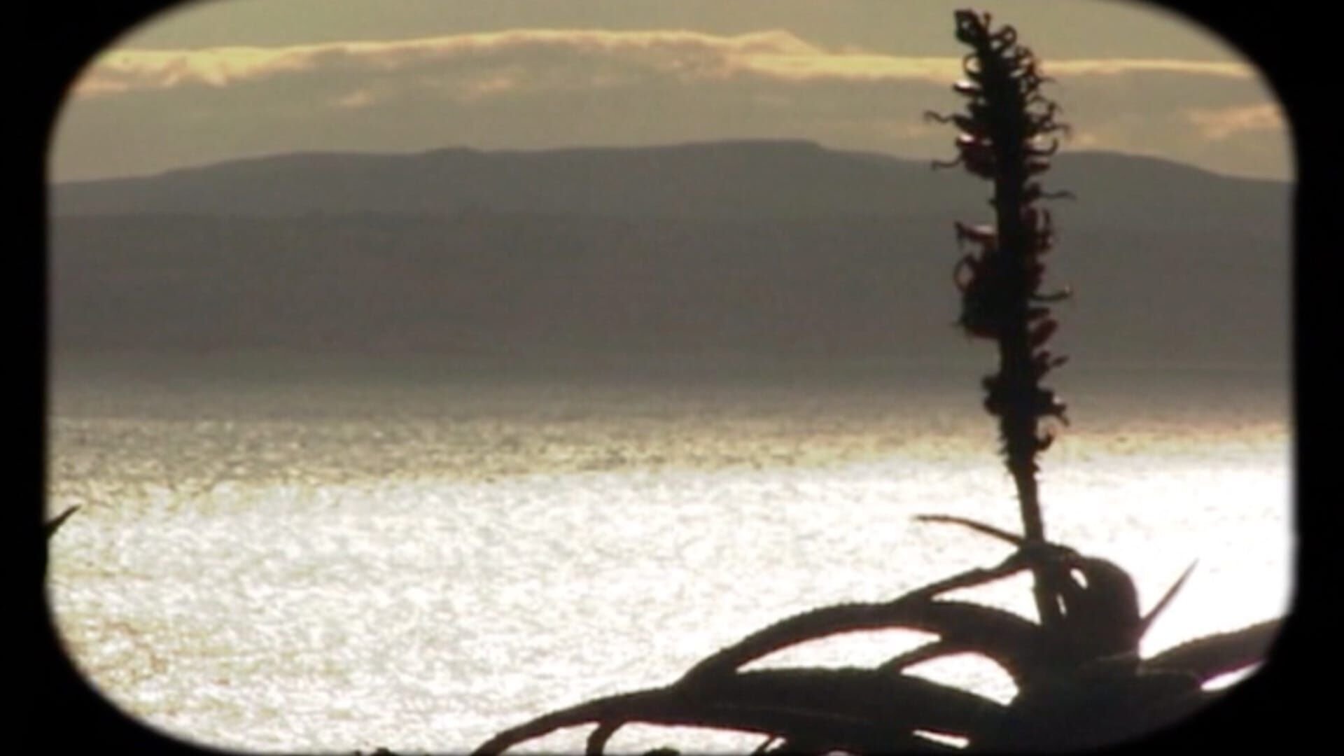 Drive Thru South Africa - S03E13 — FuelTV.fr 14:00