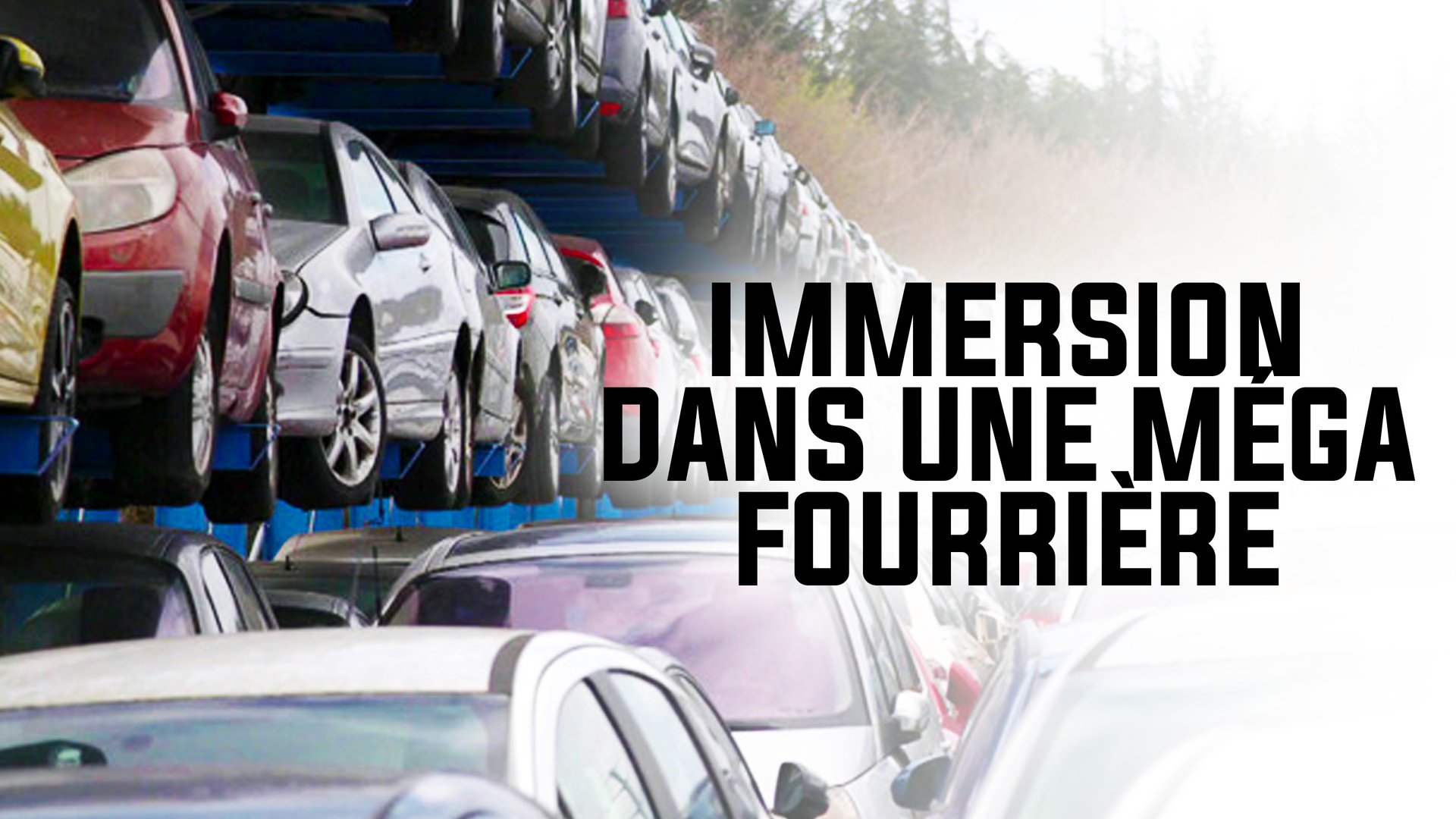 Immersion dans une méga fourrière - S01E03